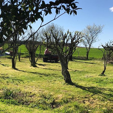 Les Geais Bed & Breakfast Saint-Pierre-la-Noue Dış mekan fotoğraf